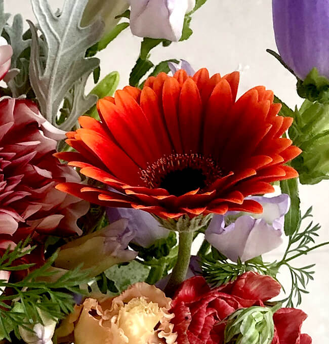 ハルカゼフラワー