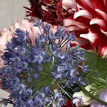 ハルカゼフラワー