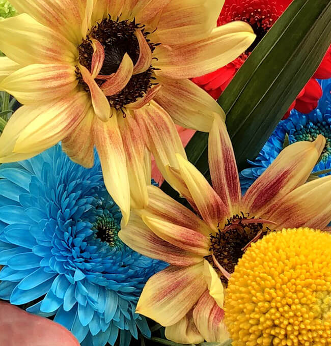 ハルカゼフラワー