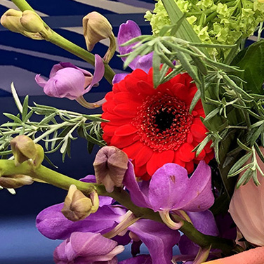 ハルカゼフラワー