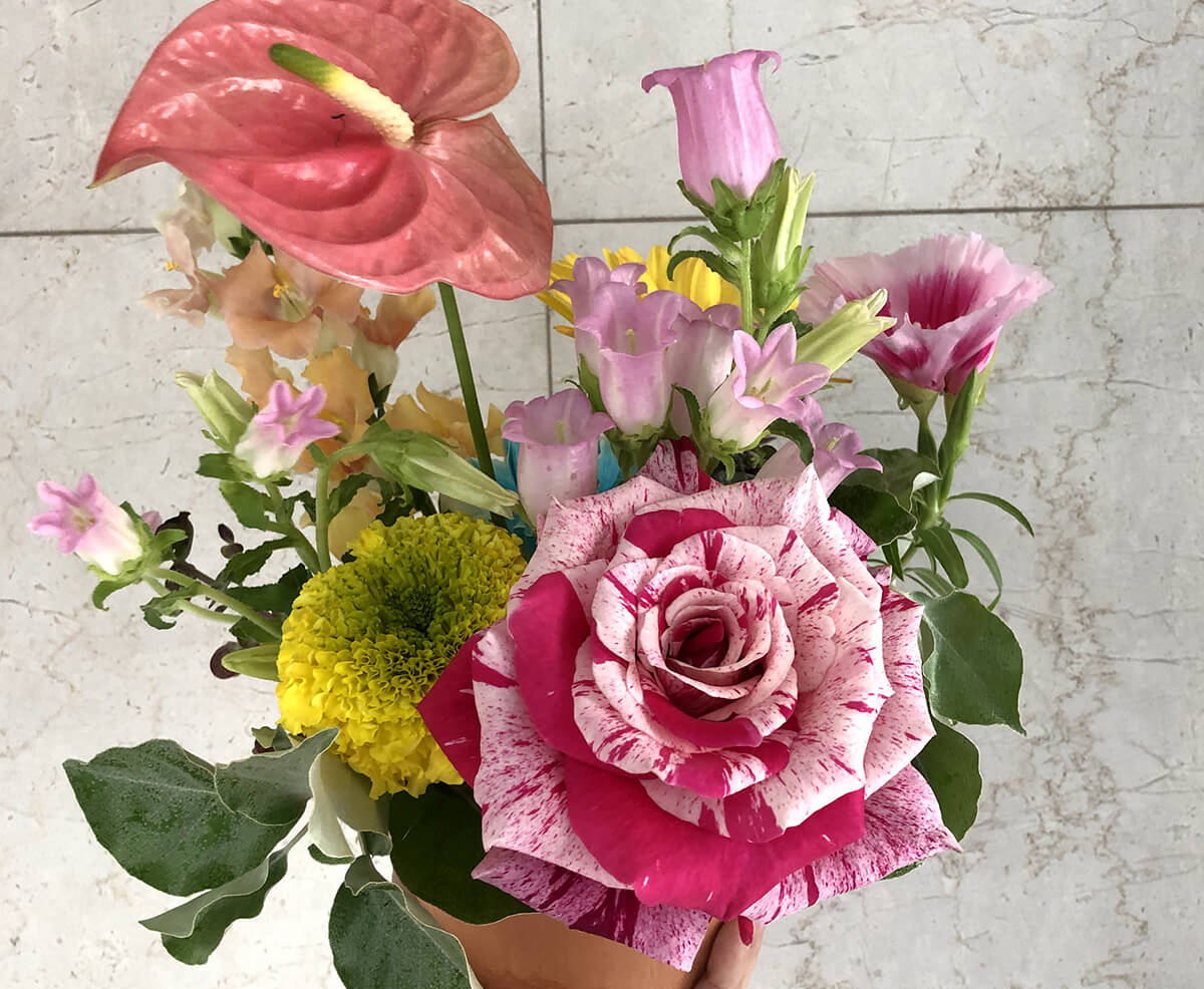 ハルカゼフラワー