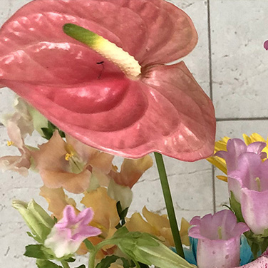 ハルカゼフラワー