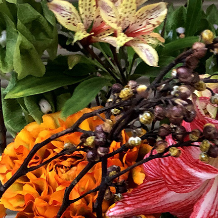 ハルカゼフラワー