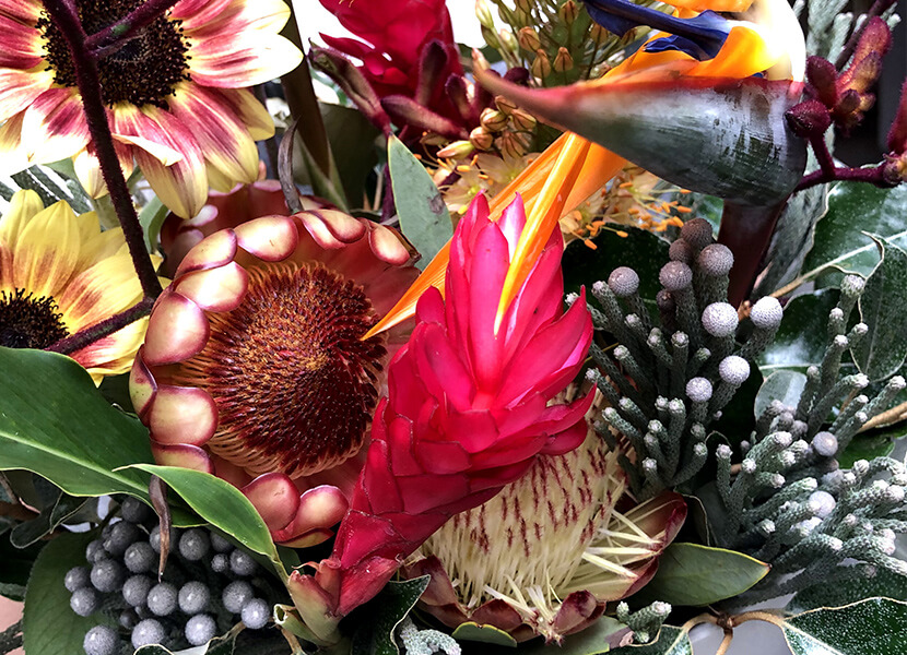 ハルカゼフラワー